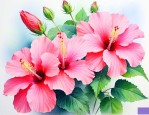 芙蓉花是什么花的别称