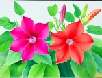喇叭花的作文300字