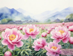 中江县芍药花基地