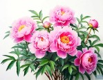 牡丹花的花期是多长时间