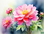 开的最高的花是什么花