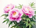 牡丹花是多久开放的花