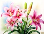 百合花在什么季节开放