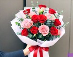 母亲节送什么花寓意最好