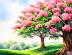 幸福树可以放外面养吗