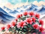 西藏杜鹃花什么时候开