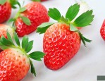 奶油草莓种子怎么催芽