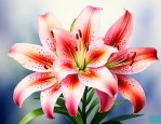 百合花的花程式及解释