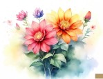 友谊的花是什么花