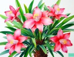 铁树花摘了还会开花吗