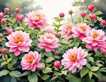 2025年花期长花朵大的花