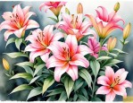 2025年百合花的开放时间