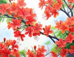 凤凰花花语和象征寓意