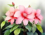 什么花喜欢阴暗又好养
