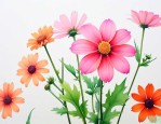 什么花名适合做微信名