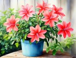 水塔花适合在室内养吗