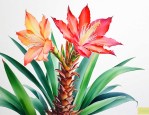 我在等铁树开花是什么意思