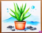 水宝宝可以养哪些植物