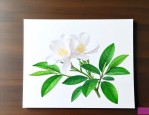 小栀子花怎么养护和注意事项