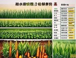 2025年种子化肥的价格表