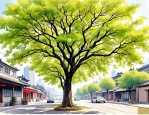 2025年南京城里的梧桐树