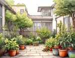 2025年后院适合种的植物