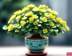 金玉满堂花的养殖方法和注意事项金枝玉叶