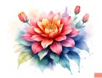 象征亲情的花