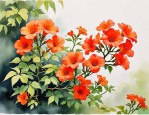 2025年凌霄花怎么不开花