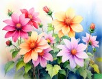 四季都开的花是什么花