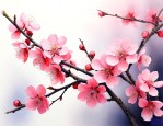 梅花的解释是什么意思