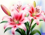 梦见百合花是什么意思