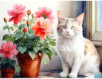 家里养猫适合养什么花