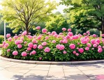 2025年绿化带开花的植物