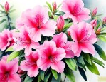 杜鹃花在哪个季节开花