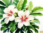 无患子的花是什么样子