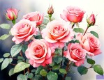 四季开花的玫瑰花品种