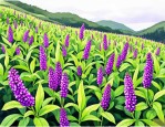 2025年花豆怎么种植方法
