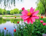 北坞公园现在有什么花