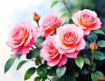 海南月季花的养殖方法