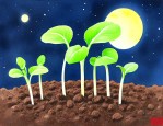 太空种子什么时候发芽