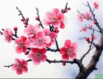 梅花的寓意象征着什么