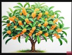 桂花树15公分的价格