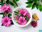 三七花泡水加什么最好