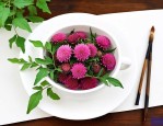 常喝三七花有什么好处