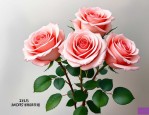 2025年19朵玫瑰花花语