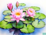 纯水养碗莲开花的办法