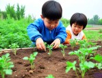 北京中小学生植物栽培