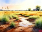 盐碱地可以种什么植物
