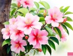 蓉花树的花有什么作用